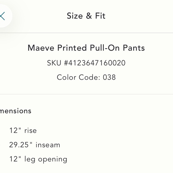 Maeve Floral Pull on Pants in Green and Blue floral - Picture 5 of 8